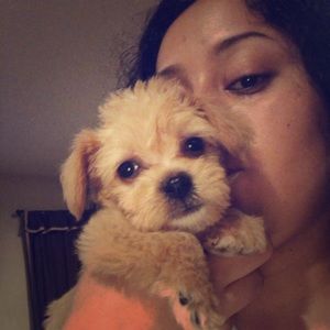 Meet your Posher, Lucy